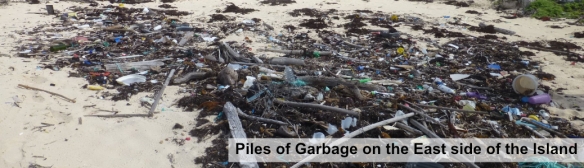 2014-02-04 Johnson Cay garbage